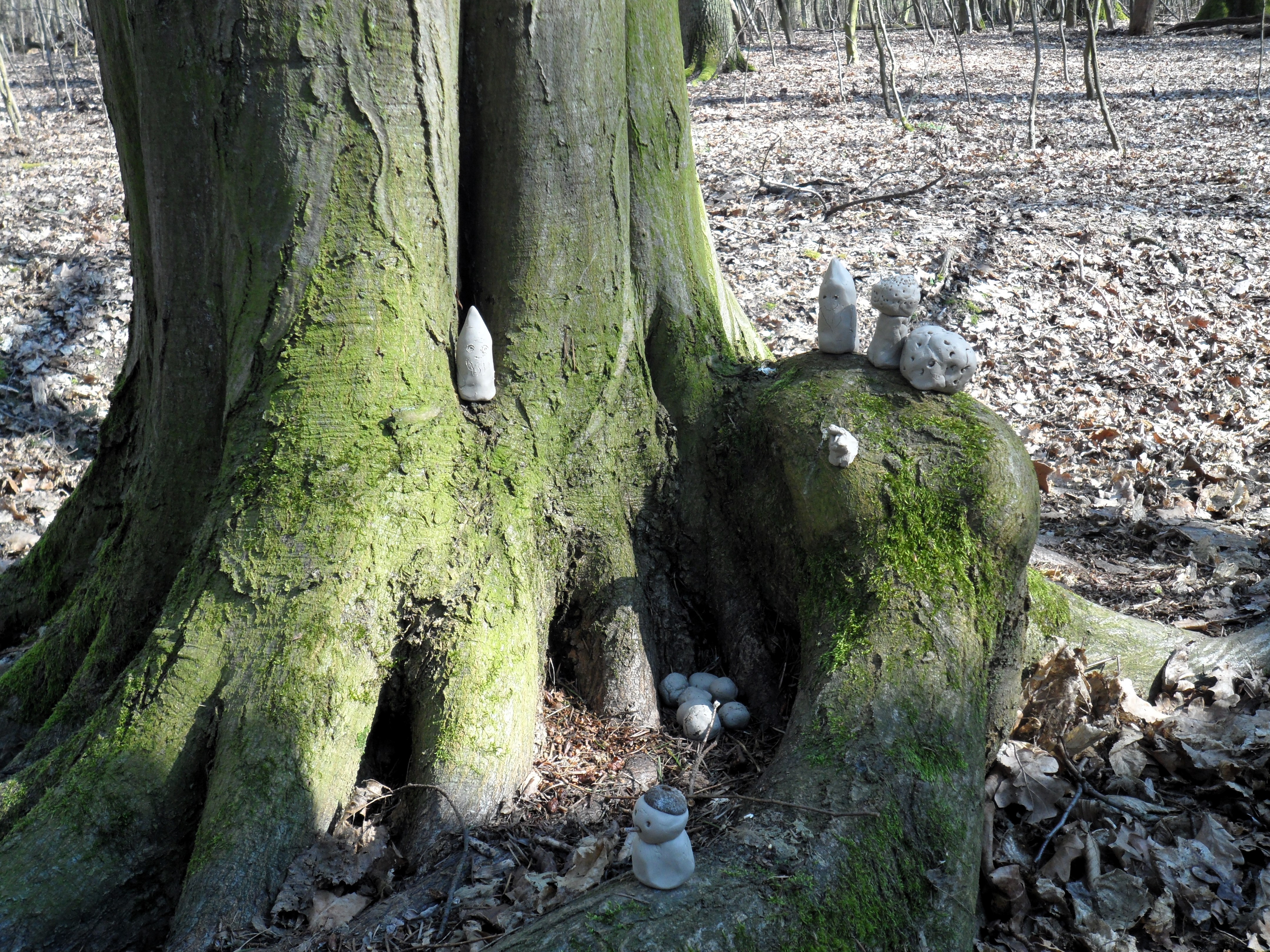 Baum in Wald