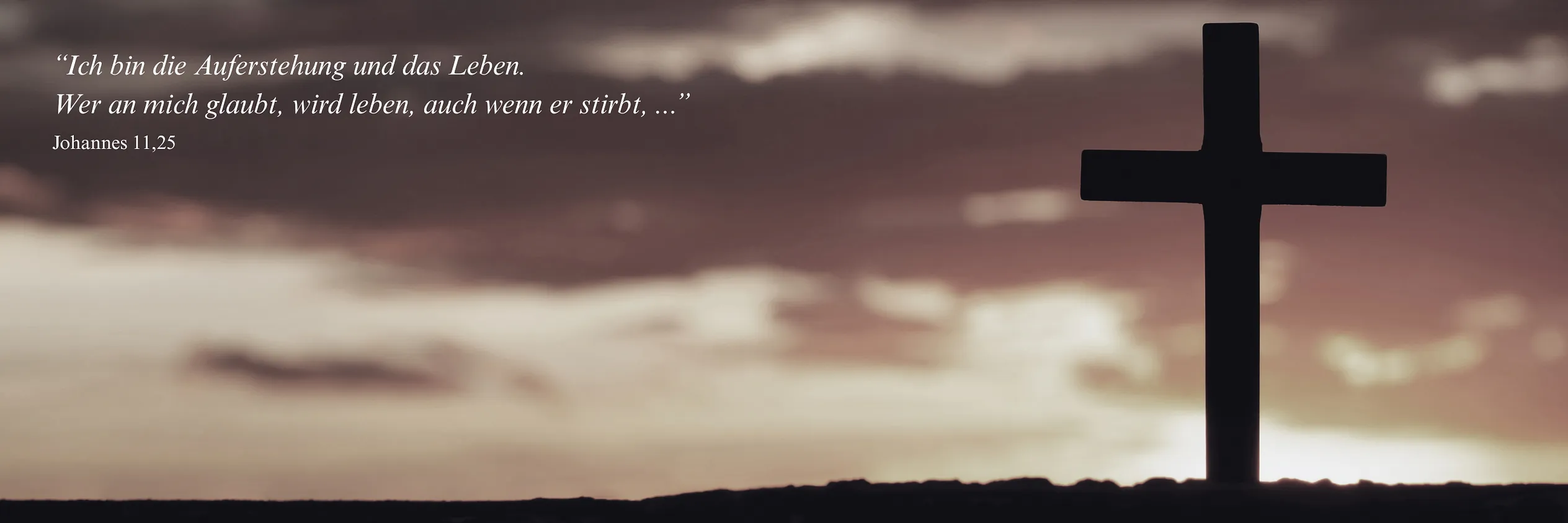 auersteung banner
